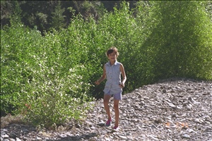 9511 2525 co paef etcIMG0041.jpg